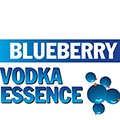 PR Blueberry Vodka Flavoring Essence 20мл